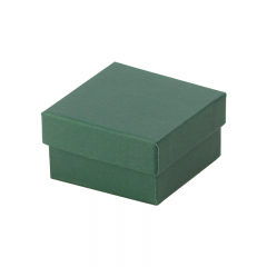 Pudełko CARLA uniwersalne małe zielone