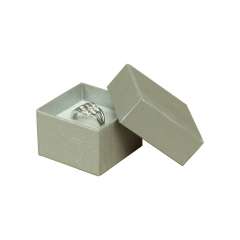 LENA Ring Jewellery Box - silver