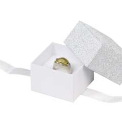 GINA Ring Jewellery Box - Silver