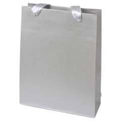 EMI Paper Bag 18x26x6cm. Silver