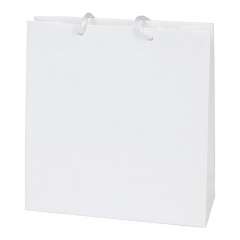 EVA Paper Bag 21x23x8 cm. White