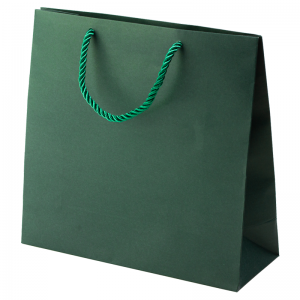 CARLA Paper Bag 240x230x90mm. - green