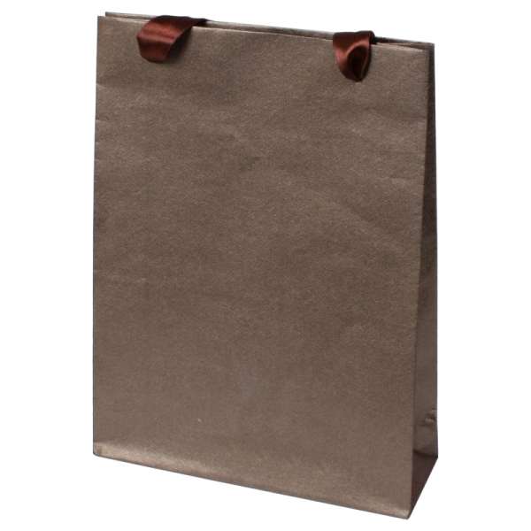 EMI Paper Bag 18x26x6cm. brown